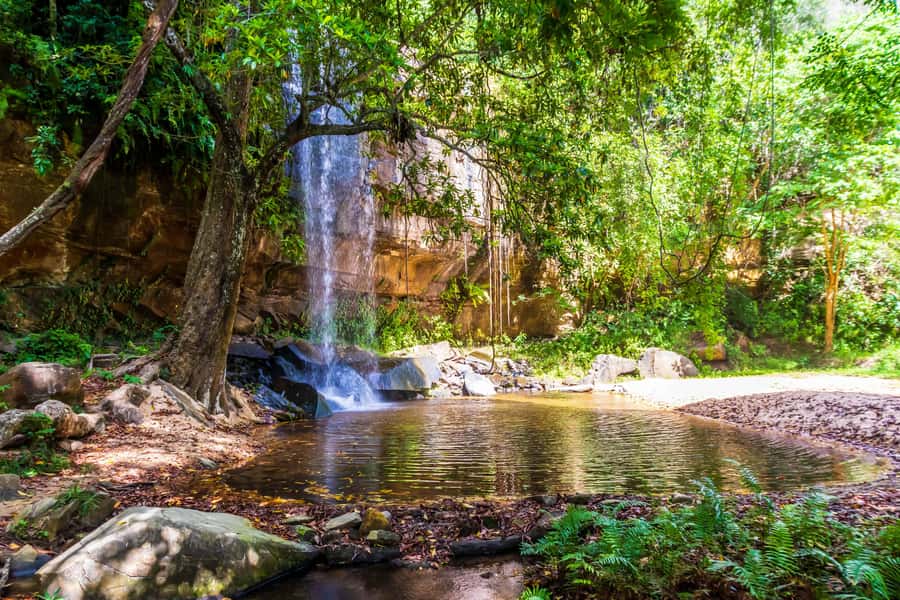 Shimba Hills Day Safari & Sheldrick Falls Hike Private Tour - From the coast to Shimba Hills in about two hours