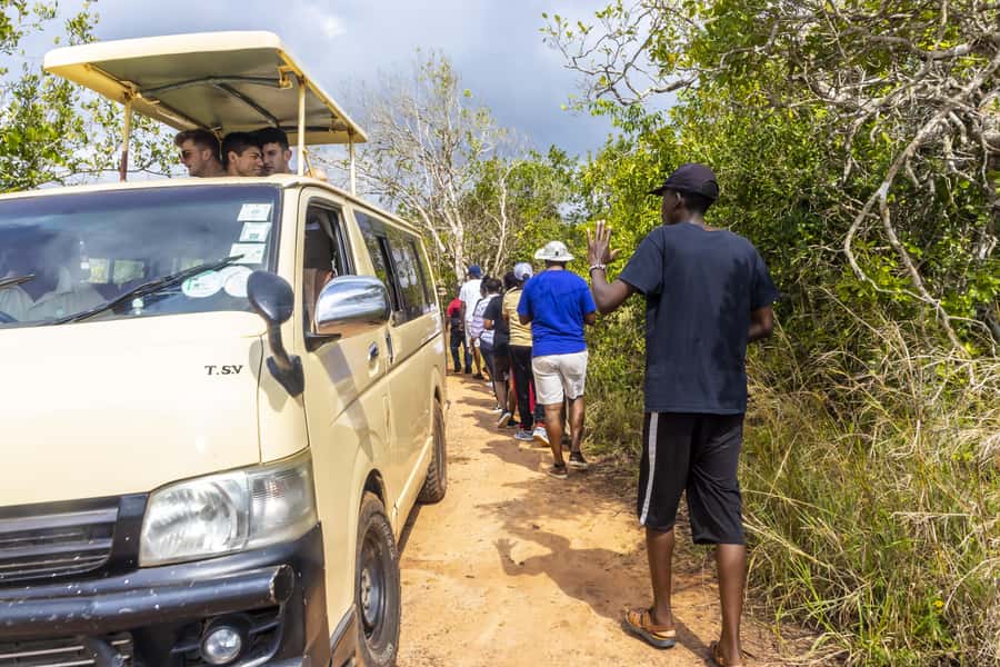 Shimba Hills Day Safari & Sheldrick Falls Hike Private Tour - Sheldrick Falls and the swimming question