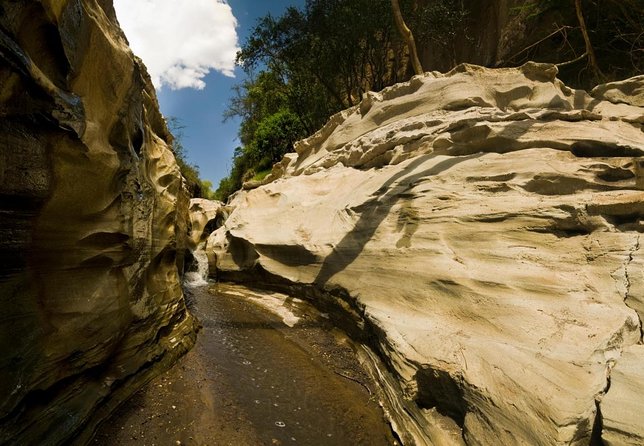 Small Group Budget Tour to Hells Gate National Park and Lake Naivasha Boat Ride - Key things to know before booking