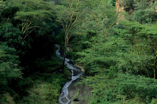 Small Group Budget Tour to Hells Gate National Park and Lake Naivasha Boat Ride - Who will enjoy this tour most