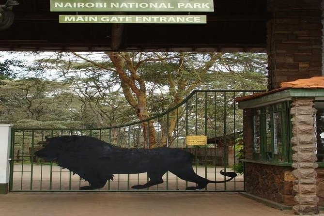 Tour: Giraffe Center and Nairobi National Park - What the $176 price really buys