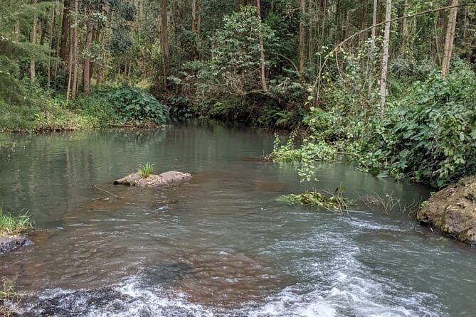 Trip from Nairobi to Muranga with Waterfall Hike and Picnic - Walking beside the river in Muranga County