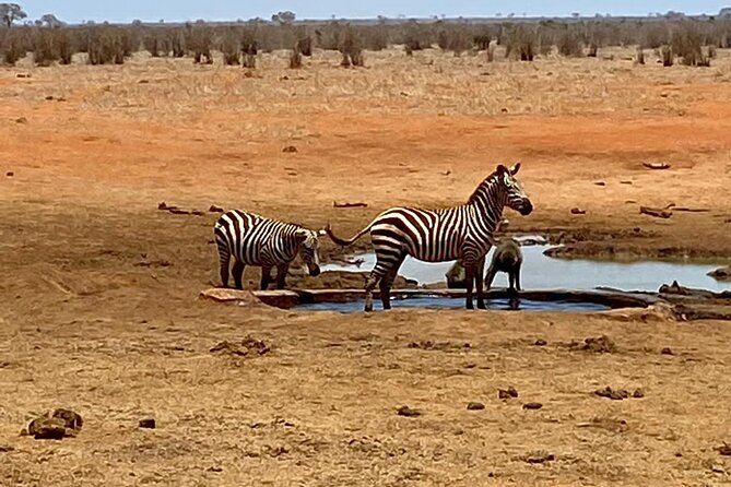 Tsavo East and Ngutuni Sanctuary Safari 3 days from Mombasa - Lugard Falls: rocks, hippos, and crocodiles