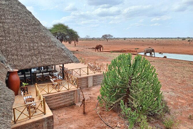 Tsavo East and Ngutuni Sanctuary Safari 3 days from Mombasa - Day 3: an early final drive before Mombasa