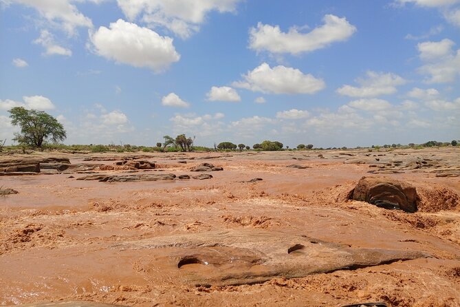 Tsavo East and Ngutuni Sanctuary Safari 3 days from Mombasa - Who should choose this three-day safari