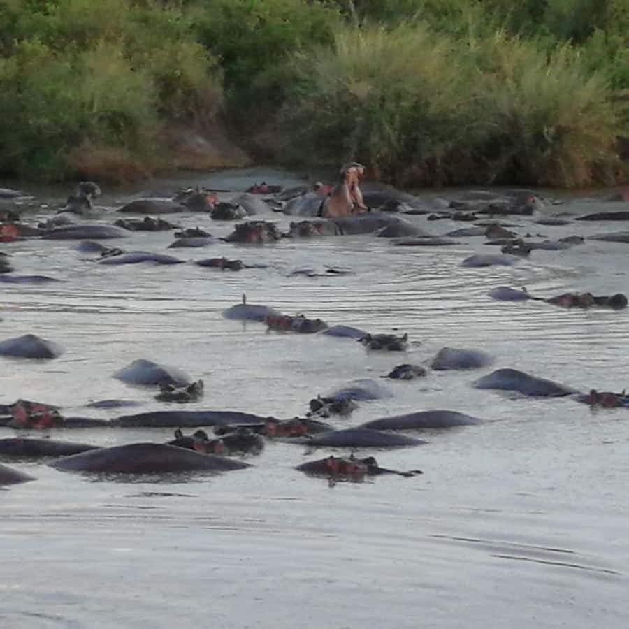 Tsavo East and Tsavo West Sanctuary Safari - Key points at a glance