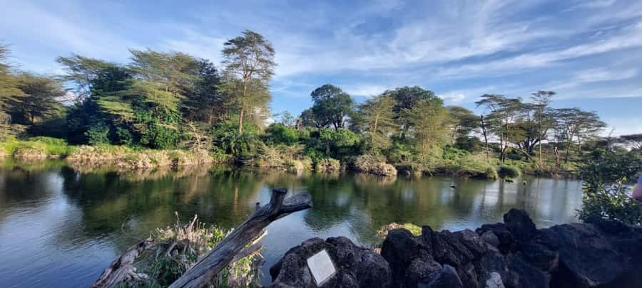 Tsavo East and Tsavo West Sanctuary Safari - The first afternoon drive around Ngutuni