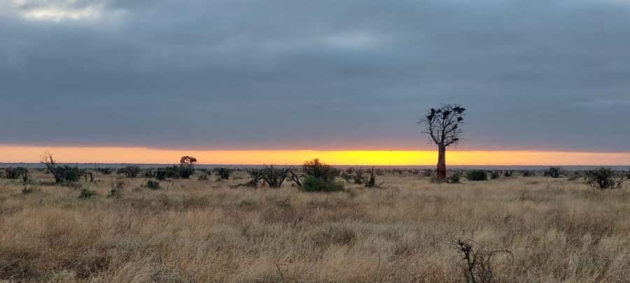 Tsavo East and Tsavo West Sanctuary Safari - Early morning at Ngutuni, from 06:30 to 08:30