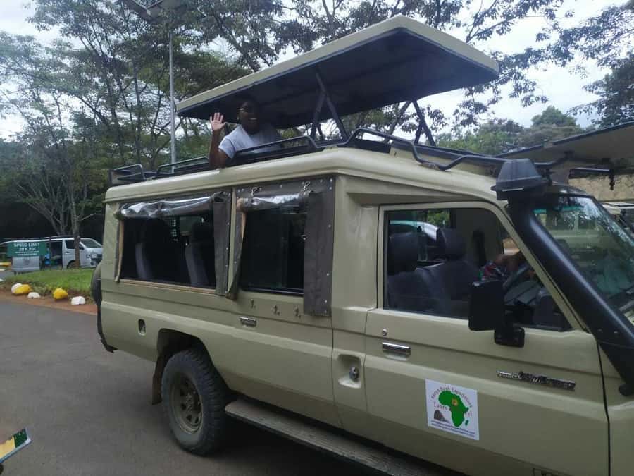 Tsavo East National Park: 2-Day Tour from Mombasa - What wildlife viewing is really like