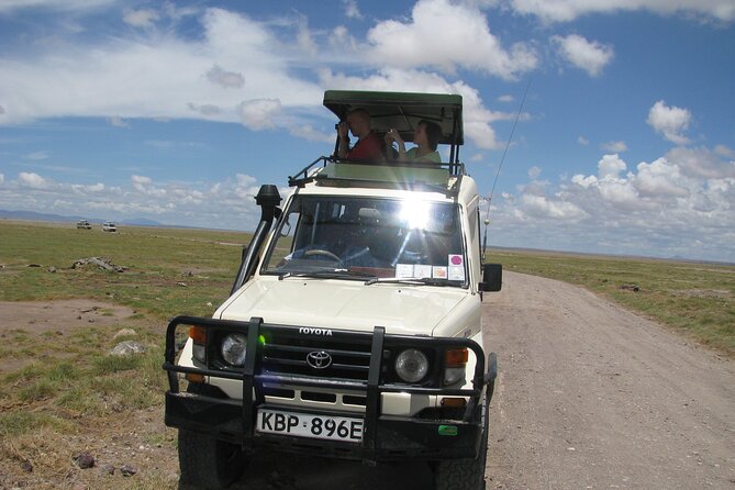 Ultimate 12 Days Private Safari Tour in Kenya and Tanzania - Key points to know before booking