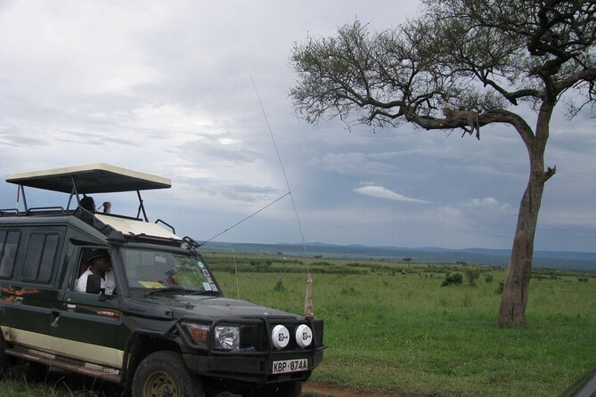 Ultimate 12 Days Private Safari Tour in Kenya and Tanzania - Day 4 and Day 5: The Masai Mara earns two full days