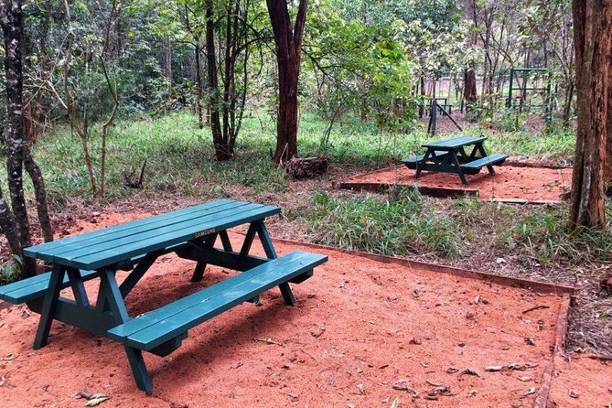 Urban Forest Tour in Nairobi - Why Karura works so well for a city break
