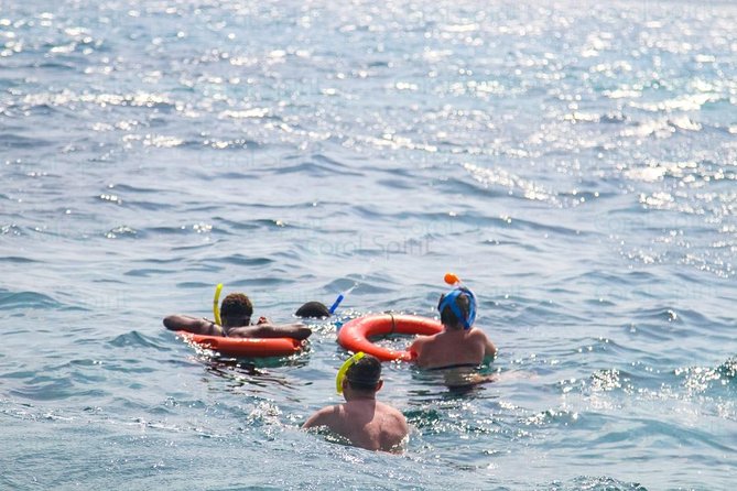 Wasini Day Tour - Booking, cancellation, and what to pack