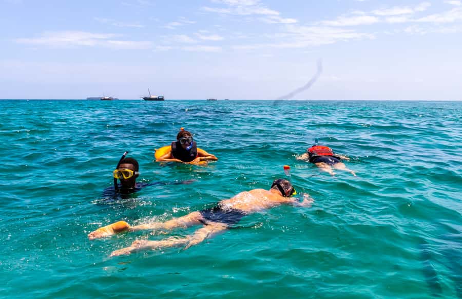 Wasini Island: Dolphin Spotting & Snorkel at Kisite Mpunguti - Snorkeling at Kisite Mpunguti Marine Park