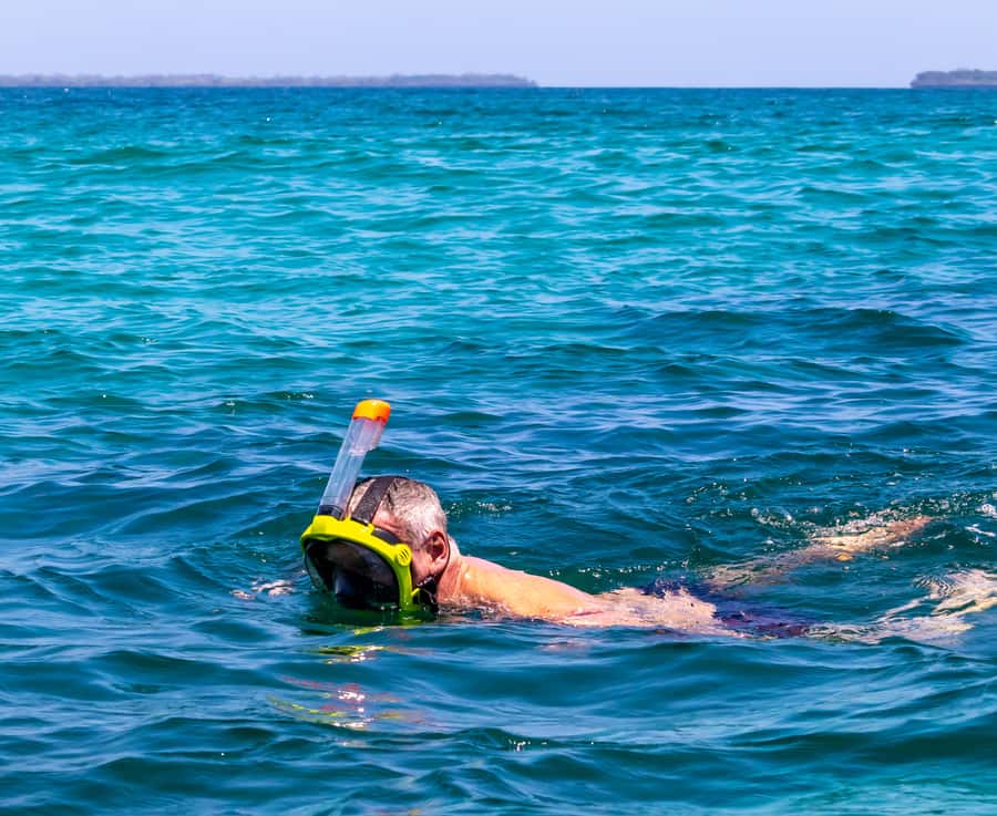 Wasini Island: Dolphin Spotting & Snorkel at Kisite Mpunguti - Who should book this coastal day?