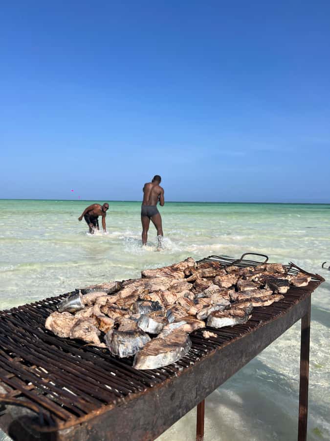 WATAMU: MALINDI: SARDEGNA ISLAND & MALINDI MARINE PARK - Key points at a glance