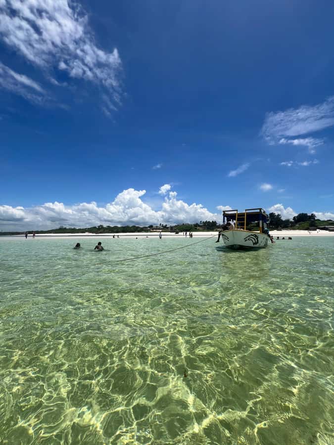 WATAMU: MALINDI: SARDEGNA ISLAND & MALINDI MARINE PARK - An hour above Malindi’s coral reefs
