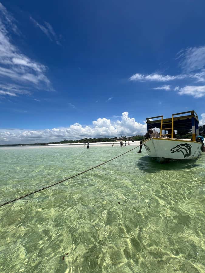 WATAMU: MALINDI: SARDEGNA ISLAND & MALINDI MARINE PARK - Who will enjoy this most
