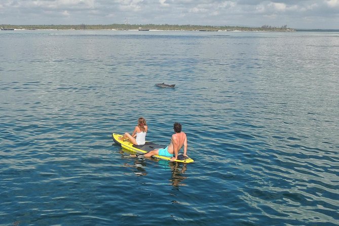 Watamu Marine Park & Sudi Island Mangrove Forest Canoe Ride.With sea food lunch - From Mombasa to Watamu in the morning