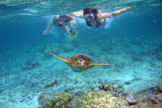 Watamu Marine Park & Sudi Island Mangrove Forest Canoe Ride.With sea food lunch - Snorkeling in Watamu’s coastal water