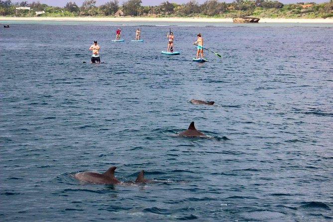 Watamu Marine Park & Sudi Island Mangrove Forest Canoe Ride.With sea food lunch - Sudi Island and the mangrove canoe ride