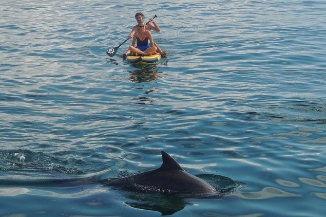 Watamu Marine Park & Sudi Island Mangrove Forest Canoe Ride.With sea food lunch - Boarding the glass boat at Watamu Marine Park