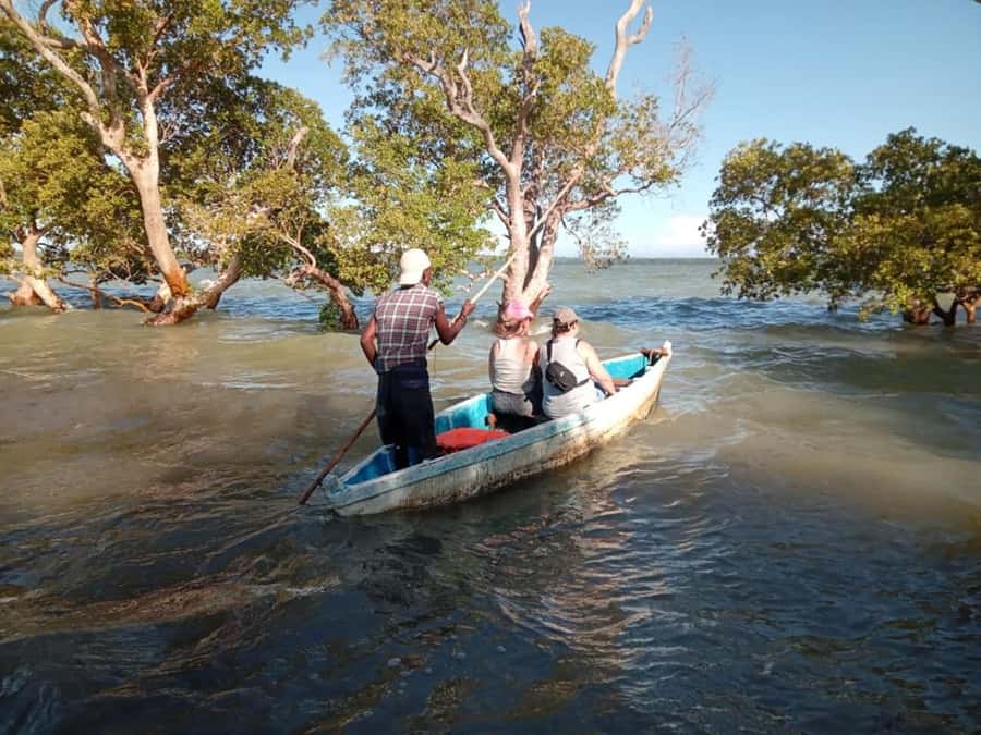 Watamu: Sunset Mangrove Canoe Tour with Coconut Drink - What the $20 price really gives you