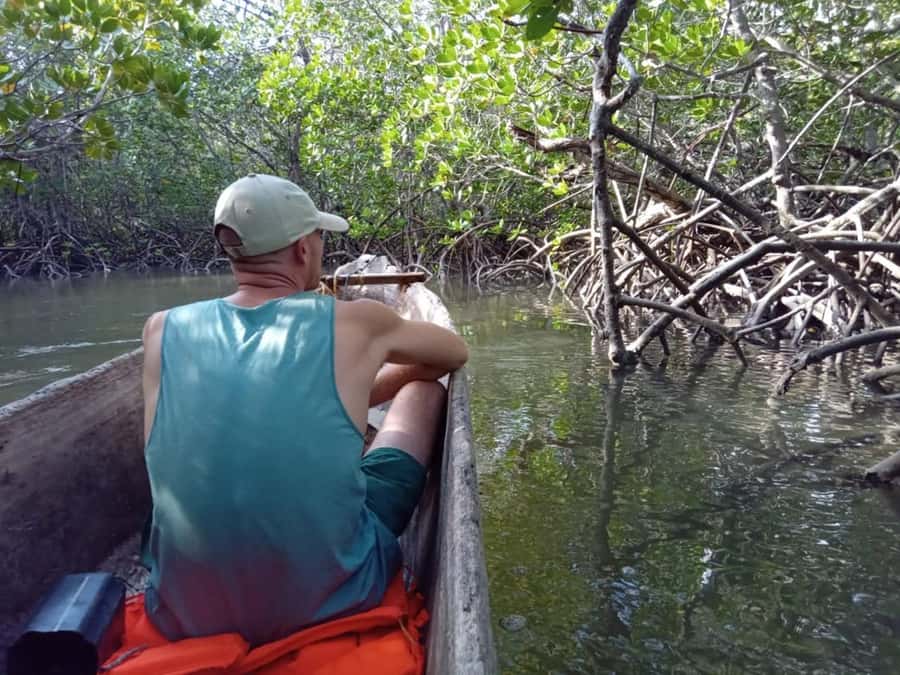 Watamu: Sunset Mangrove Canoe Tour with Coconut Drink - Guide language, comfort, and what to pack
